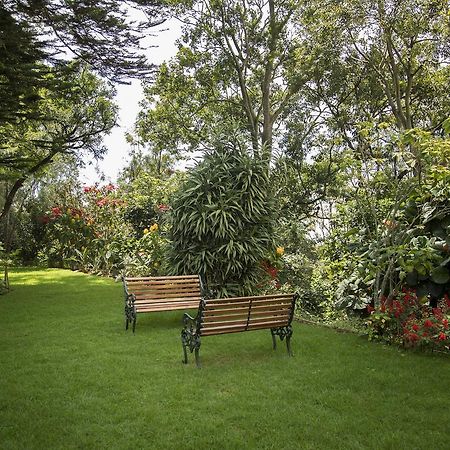 Fairy Glen Panzió Coonoor Kültér fotó