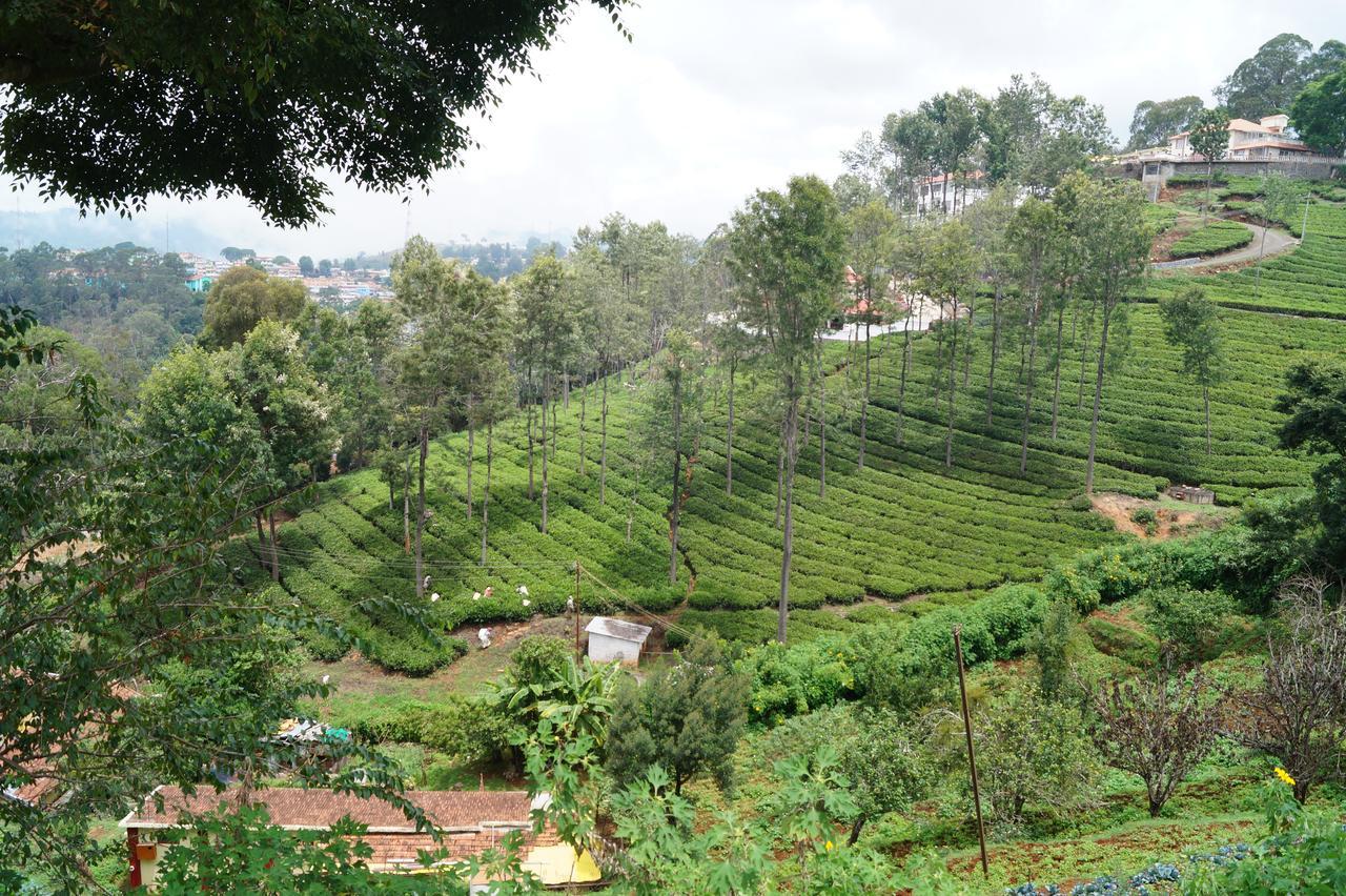 Fairy Glen Panzió Coonoor Kültér fotó