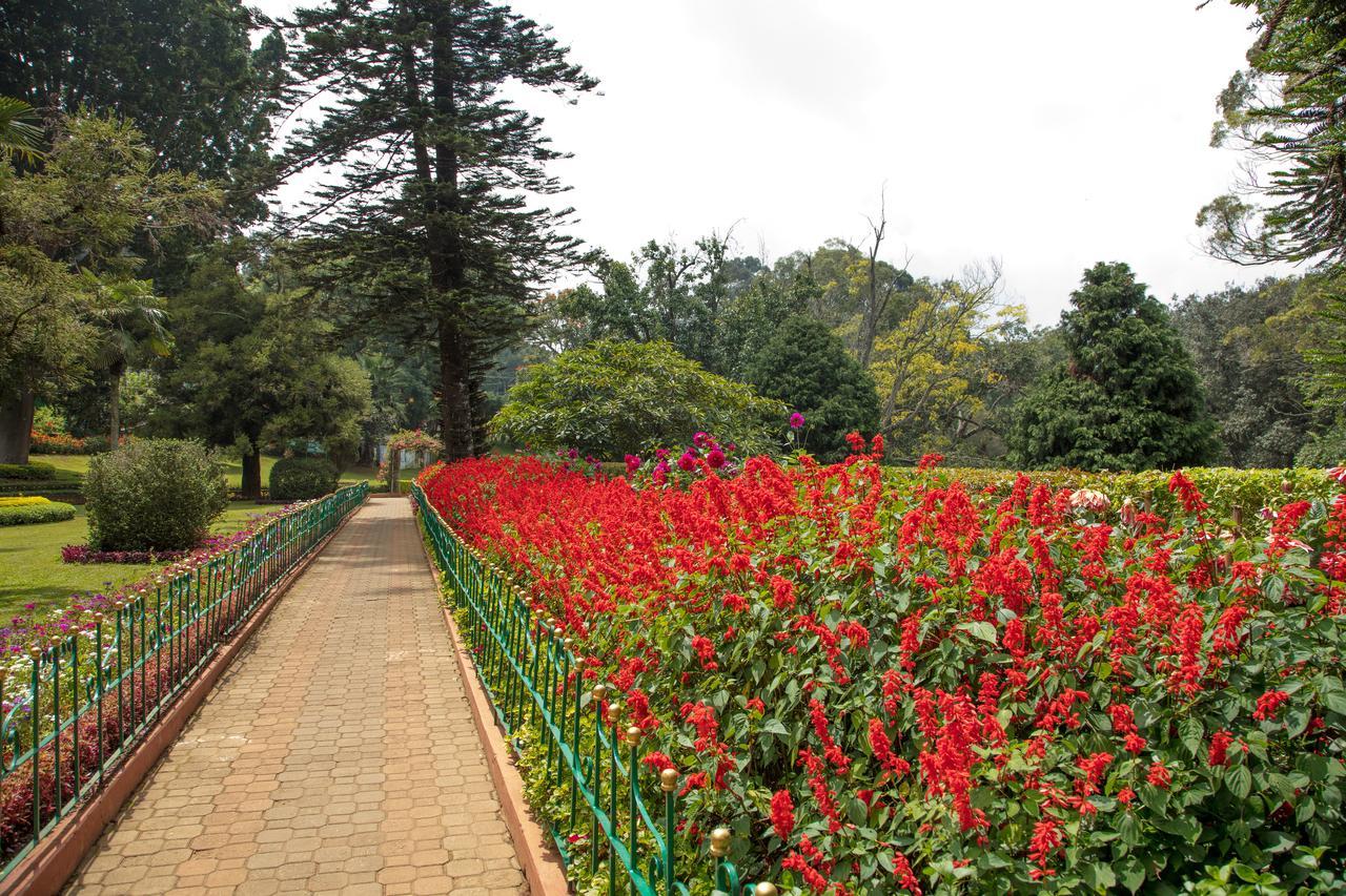 Fairy Glen Panzió Coonoor Kültér fotó